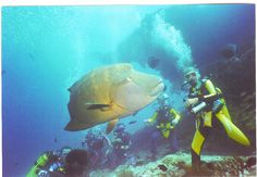 pic taken in the maldives by Andy Kutsch 